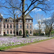 Rottinghuis Hereplein