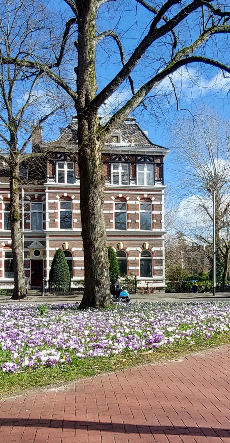 Rottinghuis Hereplein