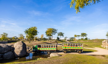 VW Noord_Familiedag_Wildlands_RZeemering-111.jpg
